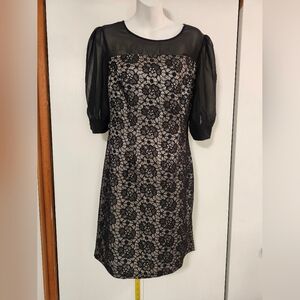 Elegant Black Lace Dress with Sheer Sleeves